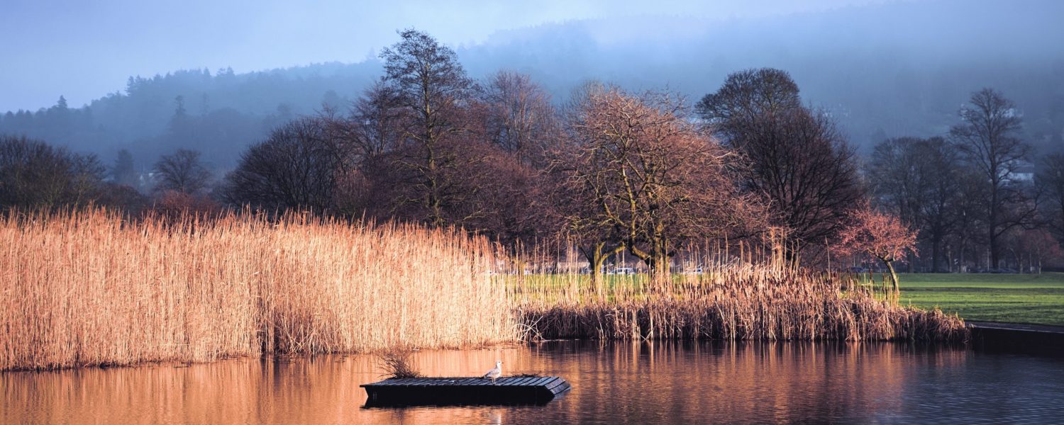 Perthshire Photographic Society